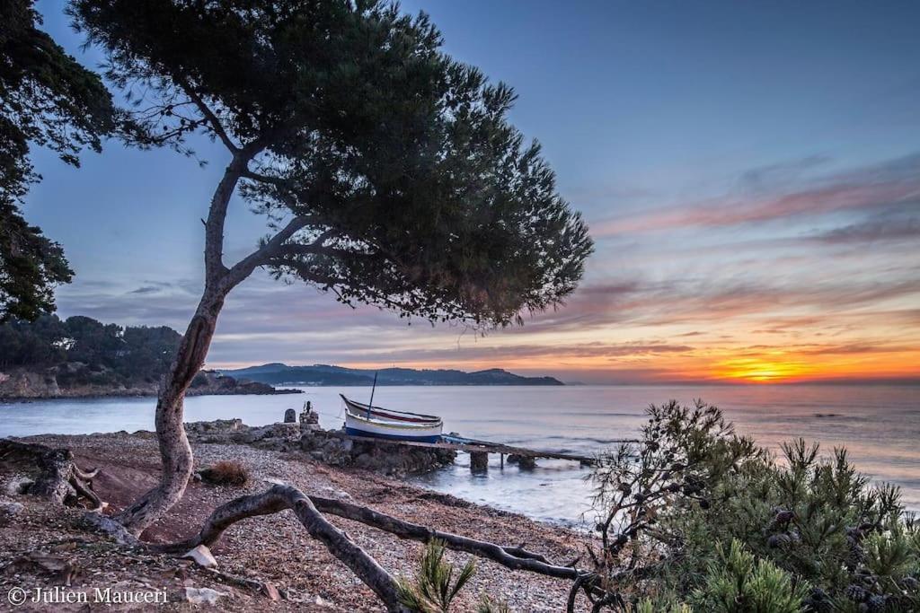 Les Hibiscus Διαμέρισμα Saint-Mandrier-sur-Mer Εξωτερικό φωτογραφία
